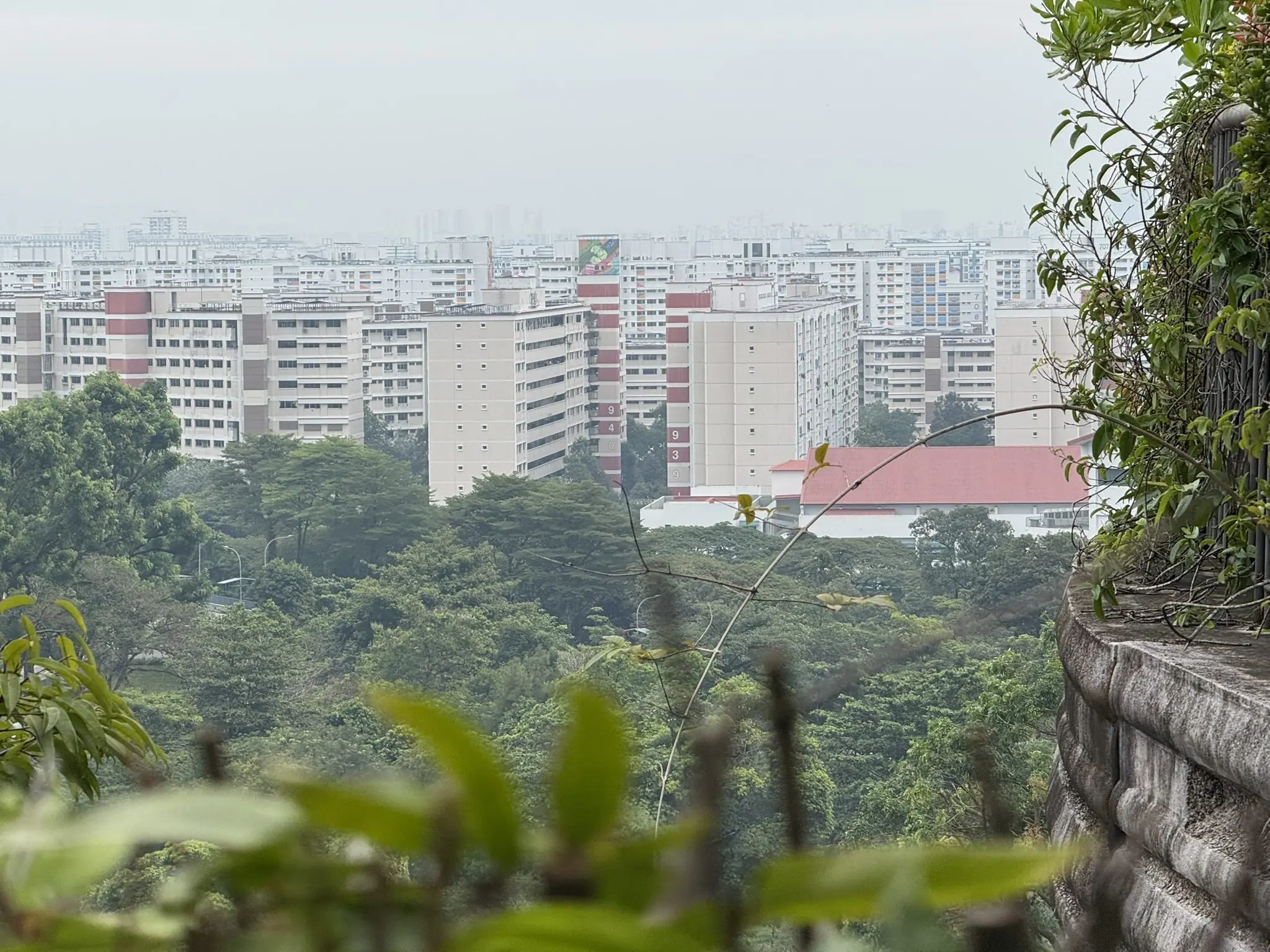 新加坡五日：City in Nature - 5